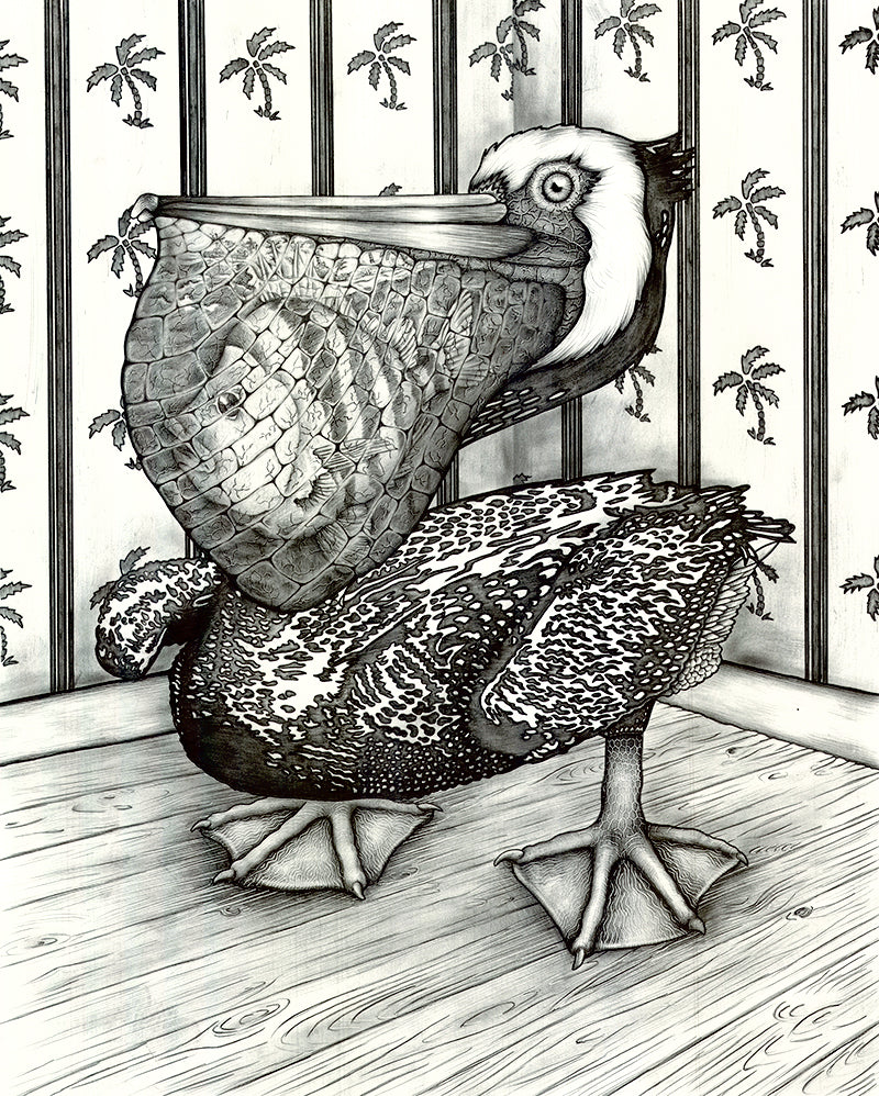 Pelican (original drawing)